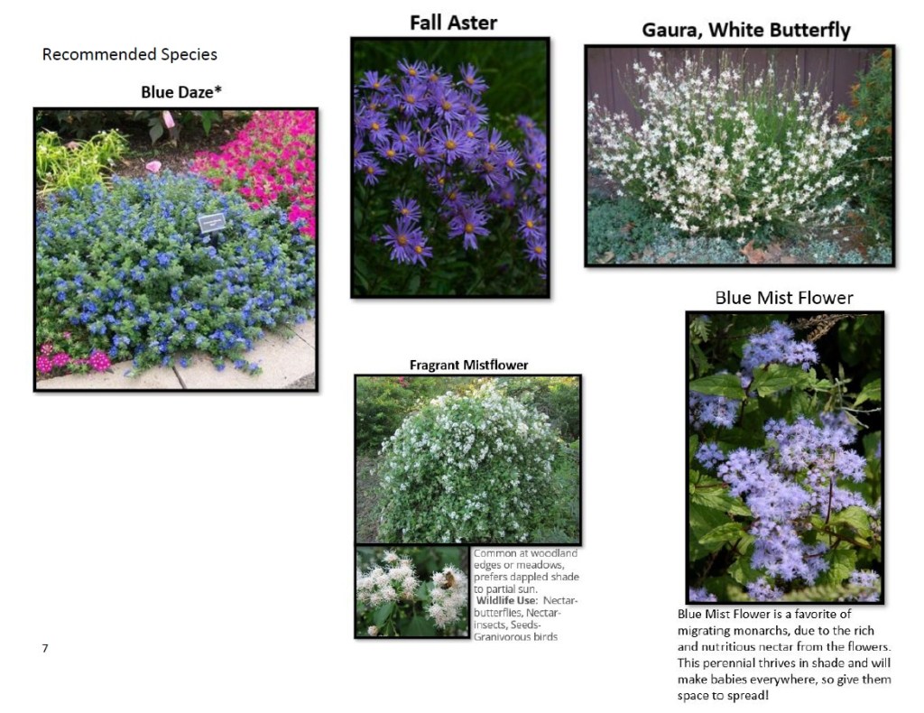 New garden species for Royalview's front gardens.  All native Texas plants.
acrossthelake.blog
https://www.welivewild.com/