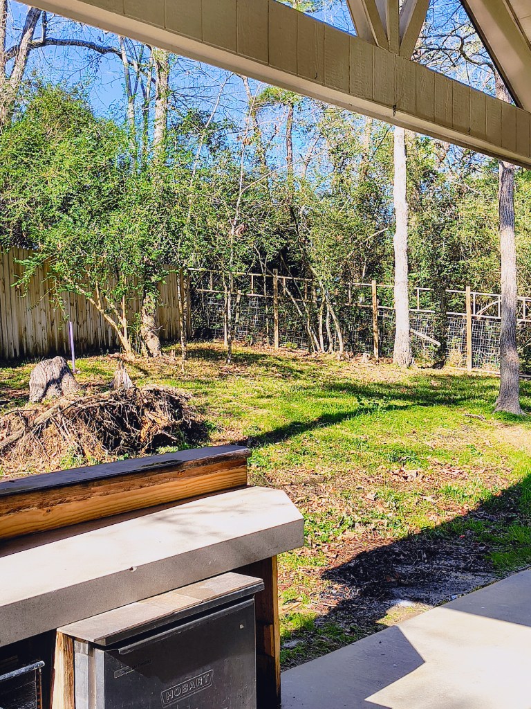 Before photo of Royalview's back yard.  acrossthelake.blog