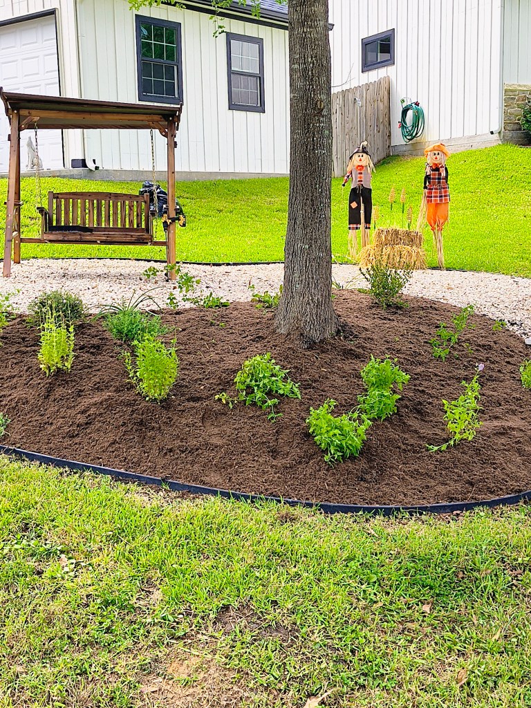 Royalview's front South garden complete.
acrossthelake.blog