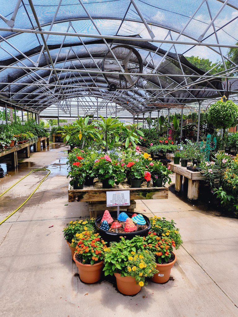 Grower's Outlet, Willis, Texas.
acrossthelake.blog