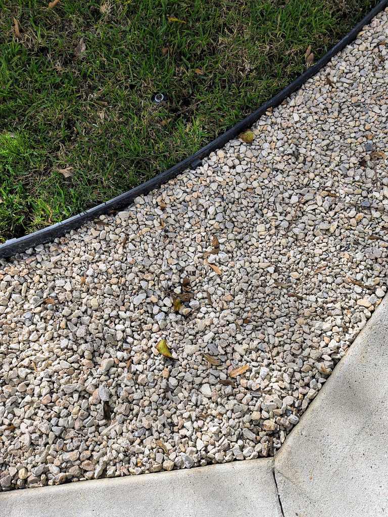 After photo:  Drain line in back yard.  acrossthelake.blog