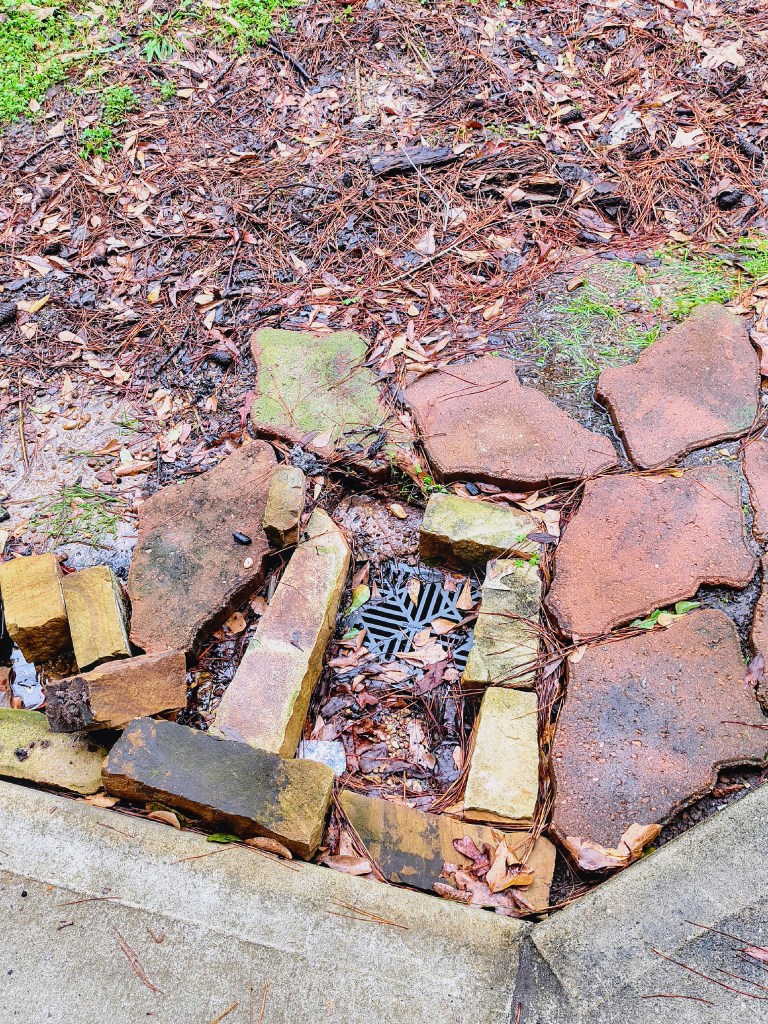 Before photo French Drains
acrossthelake.blog