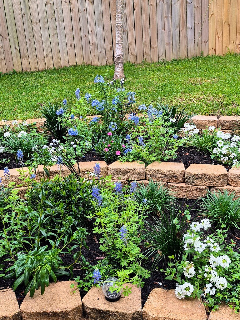 Royalview's Backyard garden.
acrossthelake.blog