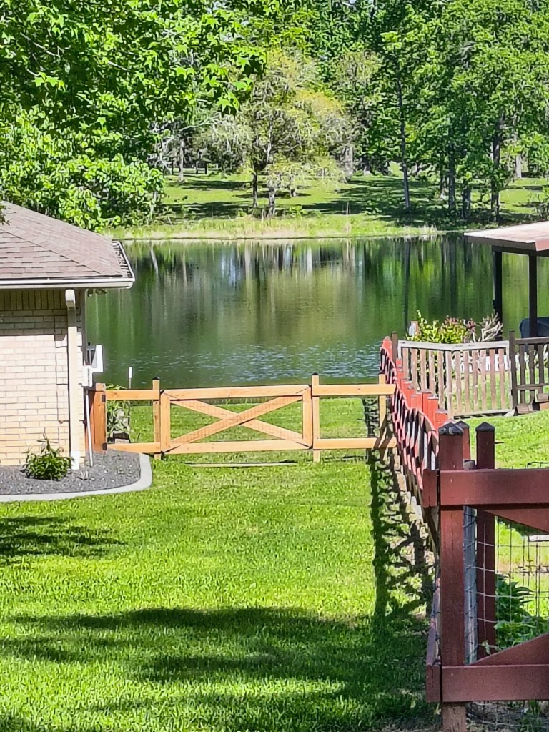 View of lake across the street from Royalview.
across the lake.blog